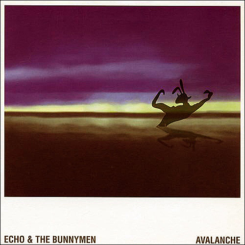 Echo and The Bunnymen Avalanche