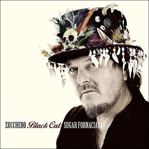 Zucchero Black Cat